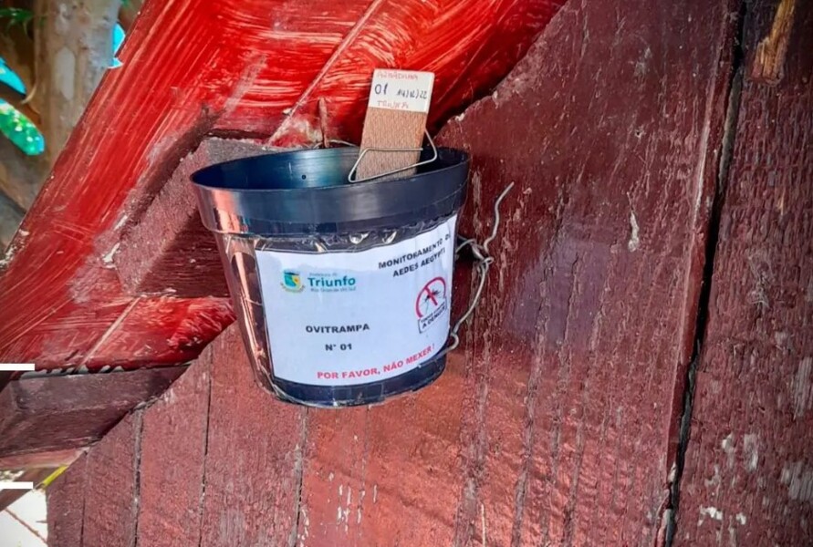 triunfo-contra-o-aedes-aegypiti