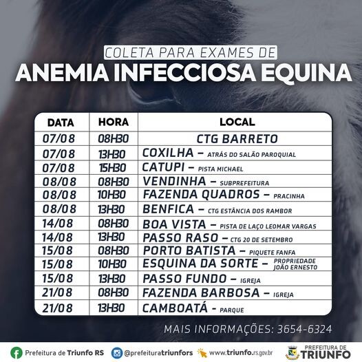 municipio-ira-realizar-exames-de-anemia-infecciosa-equina